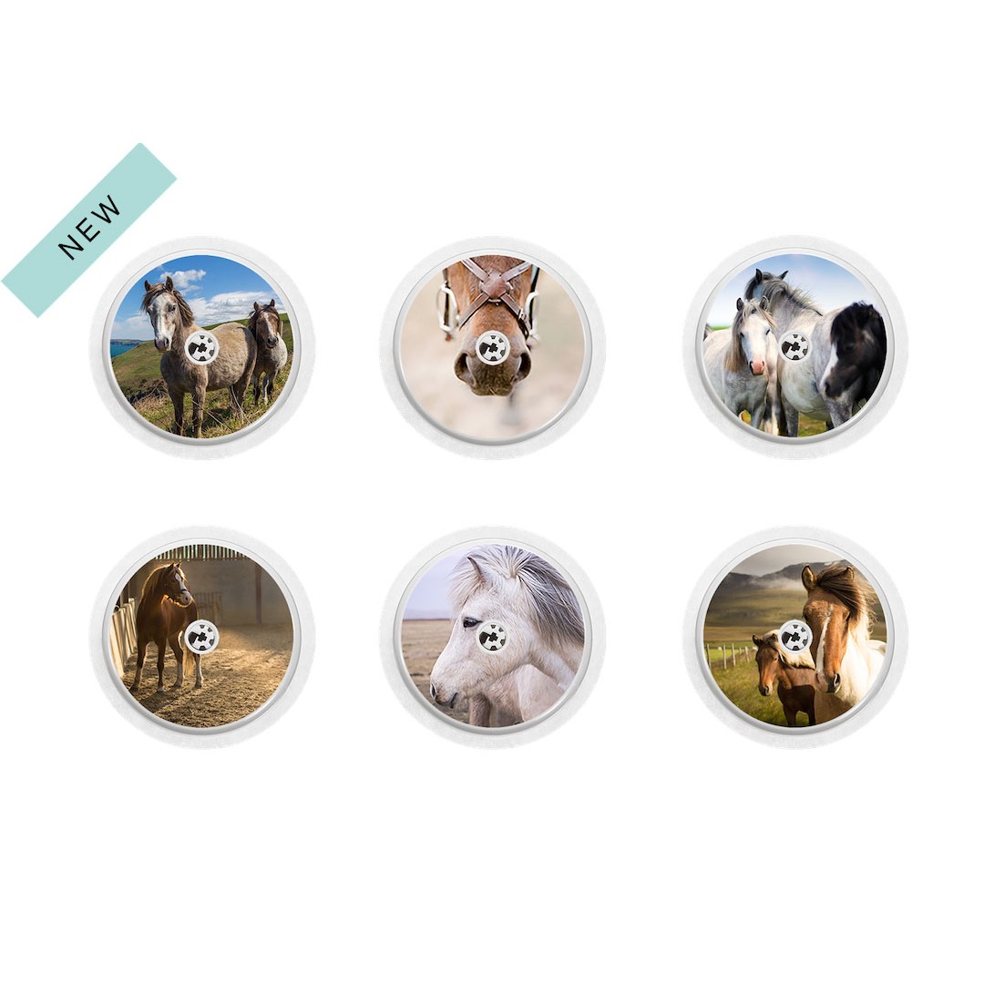 Collection Horses